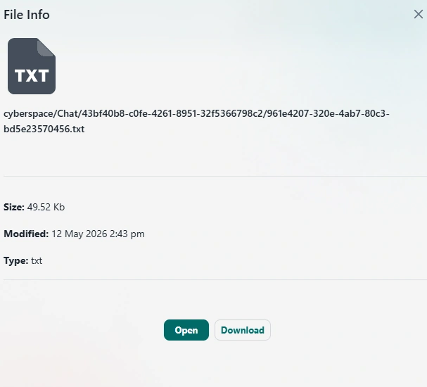 TAIRRAGO File Information Web View